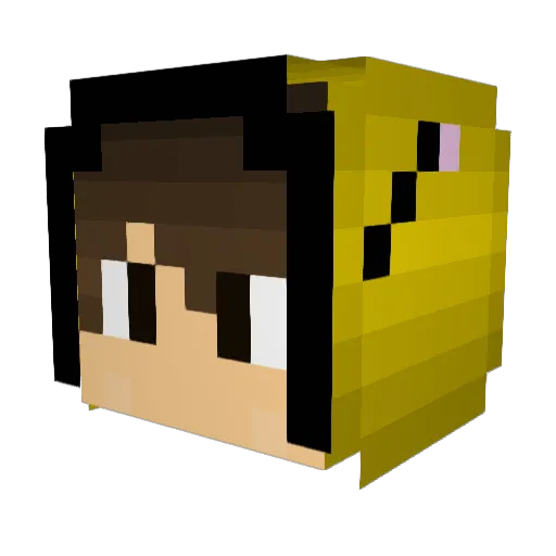 HerrBumsebiene Minecraft avatar head, 3D render