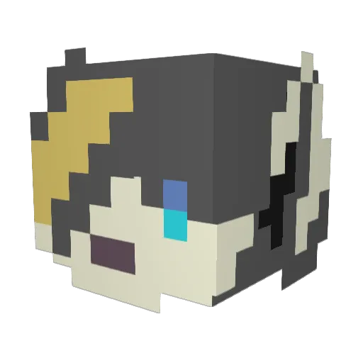 HerrFegelein Minecraft avatar head, 3D render