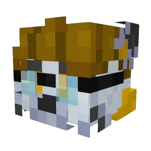 HerrFinch Minecraft avatar head, 3D render