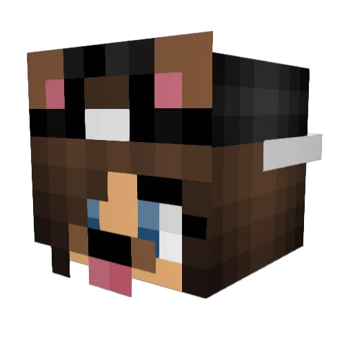 HerrKanin10 Minecraft avatar head, 3D render