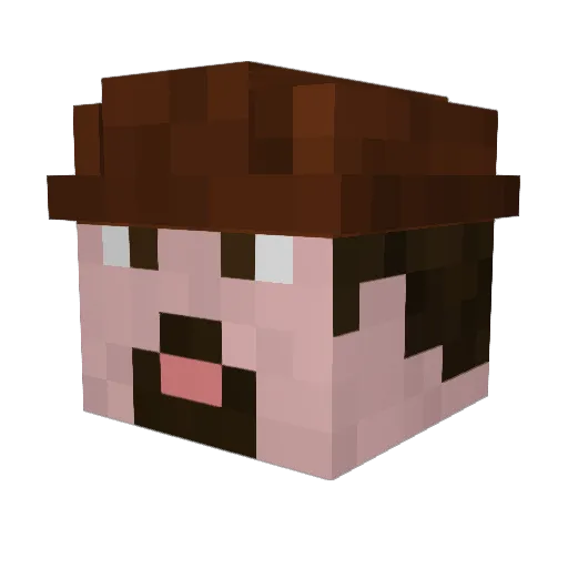 HerrVader Minecraft avatar head, 3D render