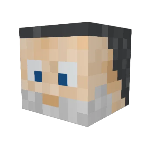Herr_Fifian Minecraft avatar head, 3D render