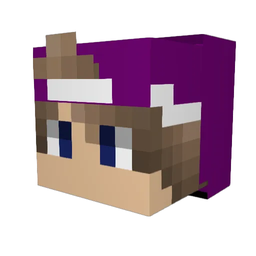 Herr_ZinkleR Minecraft avatar head, 3D render
