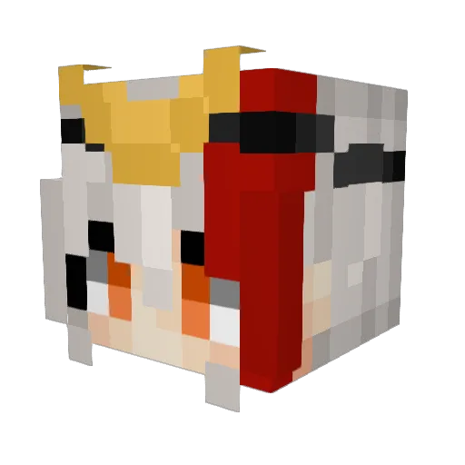 HerrderWale Minecraft avatar head, 3D render