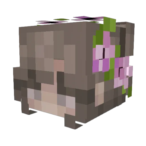 HerschelWJr Minecraft avatar head, 3D render