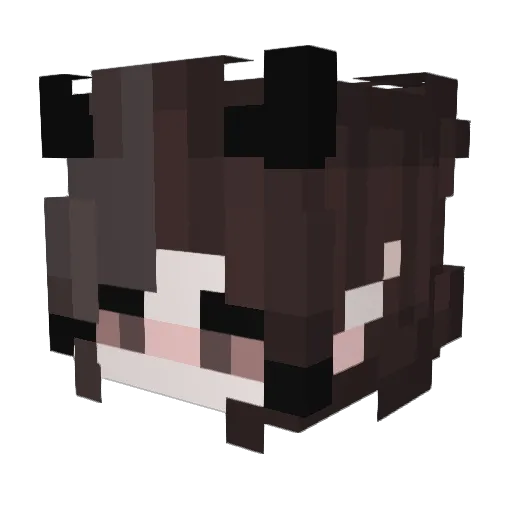 HersotaGames Minecraft avatar head, 3D render
