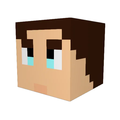 Hertel1337 Minecraft avatar head, 3D render