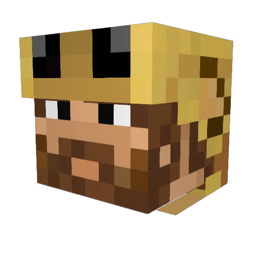 Hertog Minecraft avatar head, 3D render