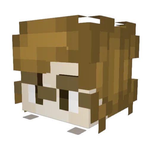 Heruseus Minecraft avatar head, 3D render