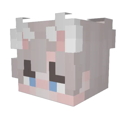 Herwi_ Minecraft avatar head, 3D render