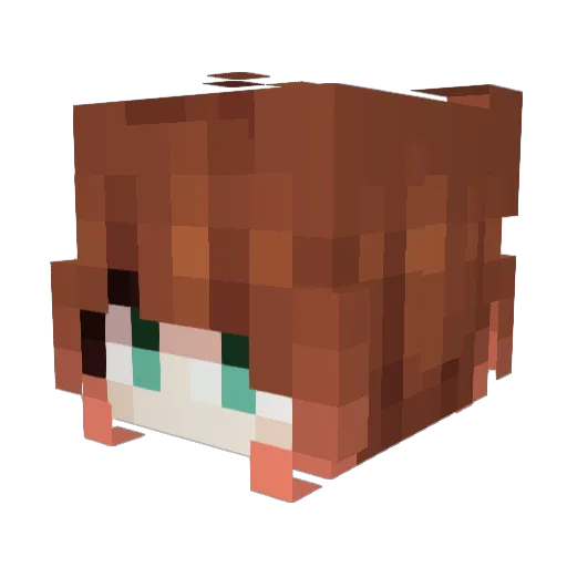 Herz Minecraft avatar head, 3D render