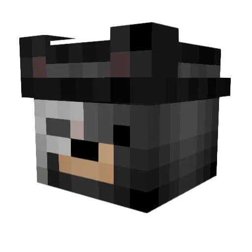 Hesel Minecraft avatar head, 3D render