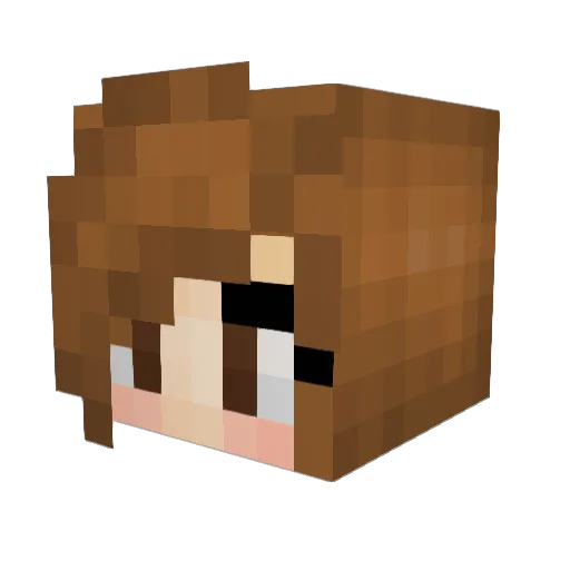 Hesh0o0 Minecraft avatar head, 3D render