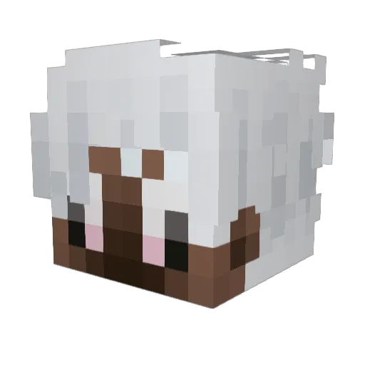 Hesio2137 Minecraft avatar head, 3D render