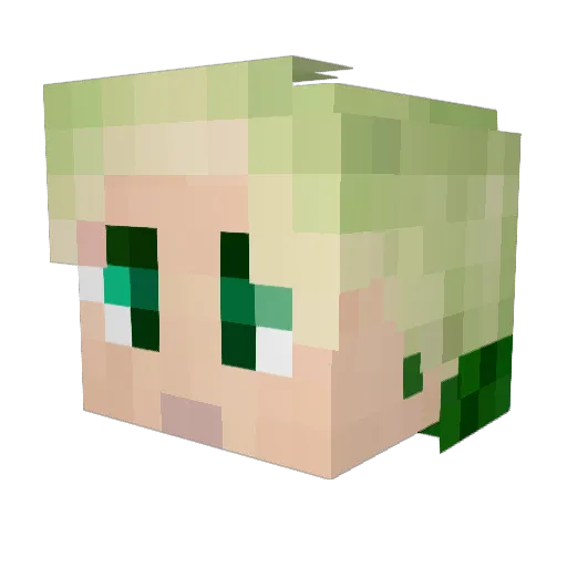 Hessss Minecraft avatar head, 3D render