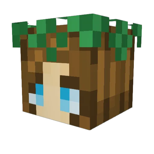 Hesstral Minecraft avatar head, 3D render