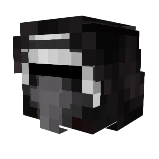 Hestenx123 Minecraft avatar head, 3D render