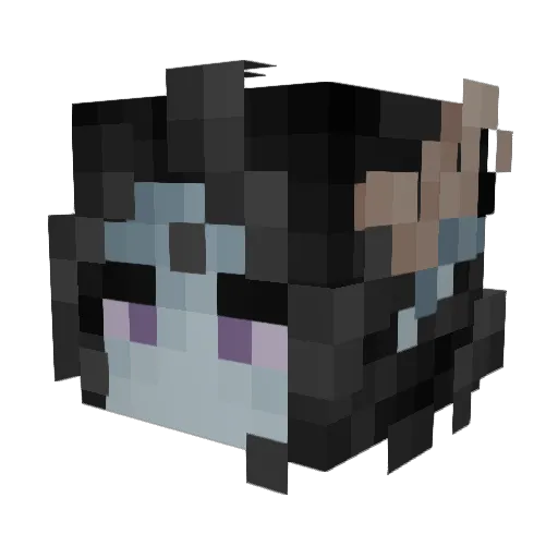 Hestoer Minecraft avatar head, 3D render