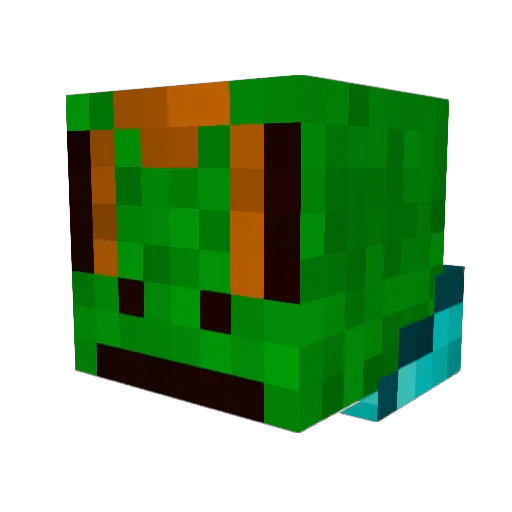 Hestpillj69 Minecraft avatar head, 3D render