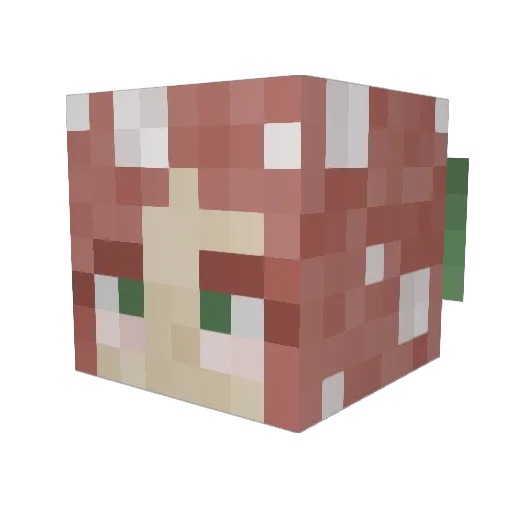 Hesycak Minecraft avatar head, 3D render