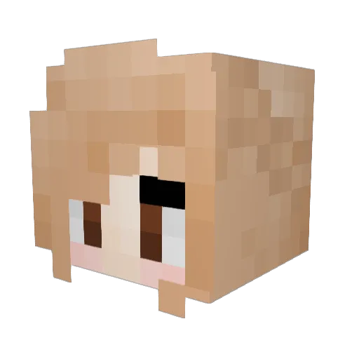 Heszer Minecraft avatar head, 3D render