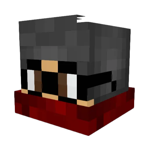 HetIsAAP Minecraft avatar head, 3D render