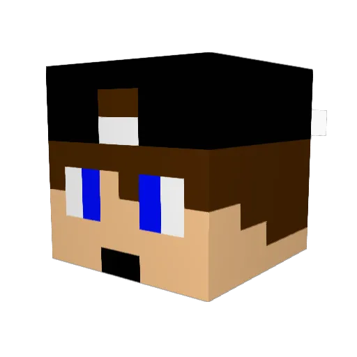 HetIsSven Minecraft avatar head, 3D render