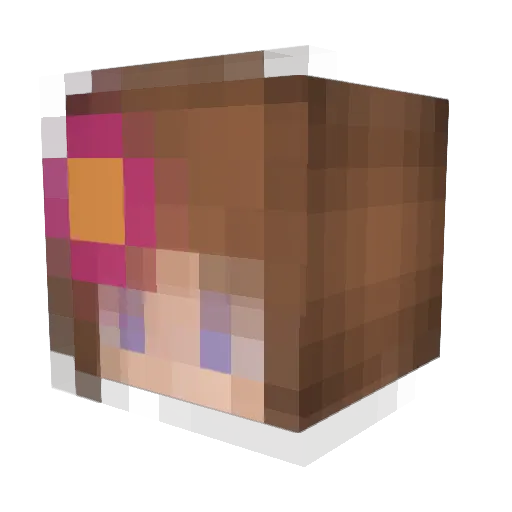 HetUniversum Minecraft avatar head, 3D render