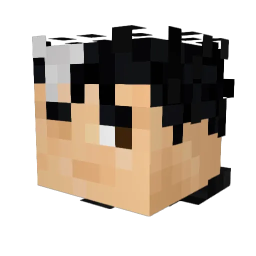 HetWan Minecraft avatar head, 3D render