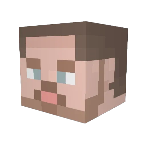 Het_is_Jesse_G Minecraft avatar head, 3D render