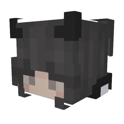 HetaFlingor Minecraft avatar head, 3D render