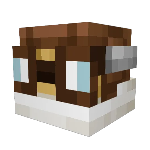 Heterosapien69 Minecraft avatar head, 3D render