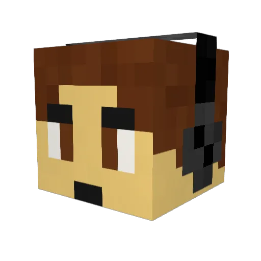 HetisHenk Minecraft avatar head, 3D render
