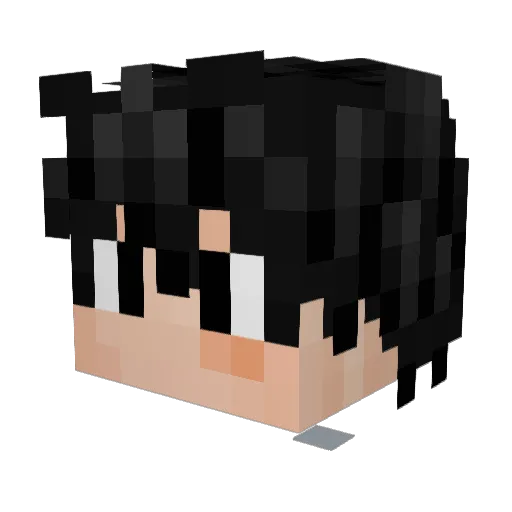 Hetlirs Minecraft avatar head, 3D render