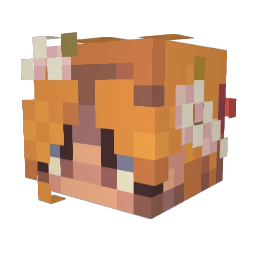 HetzersGonnaHetz Minecraft avatar head, 3D render