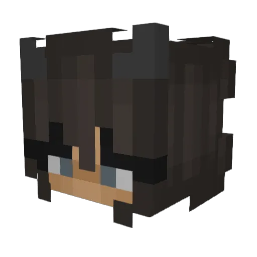 Heulsusi Minecraft avatar head, 3D render