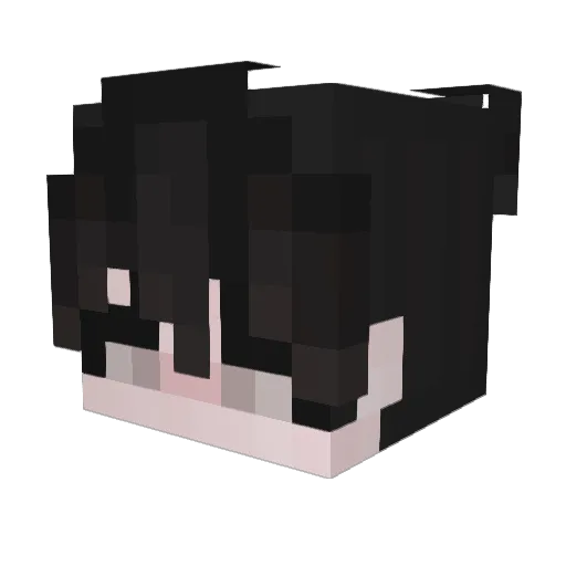 Hevilzx Minecraft avatar head, 3D render
