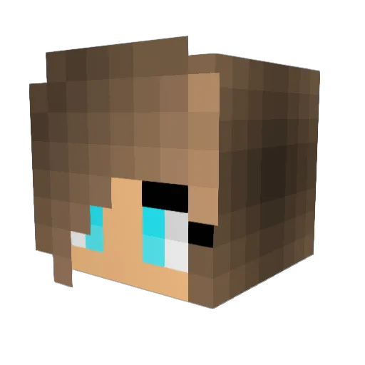 HewaLani Minecraft avatar head, 3D render