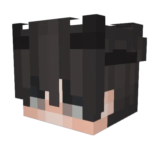 Hewesy Minecraft avatar head, 3D render