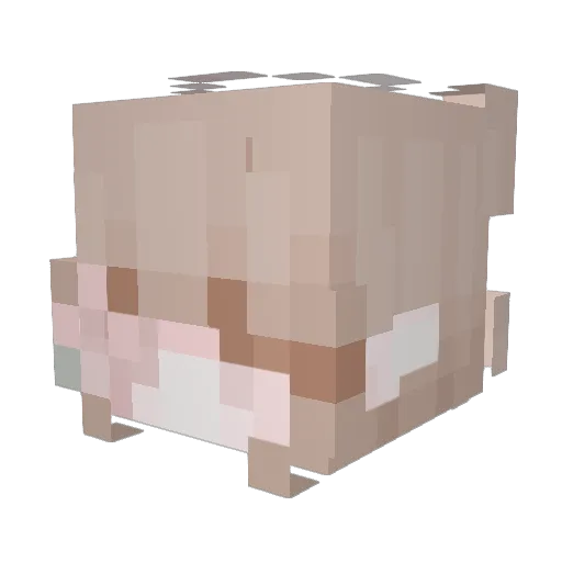 Hewlu Minecraft avatar head, 3D render