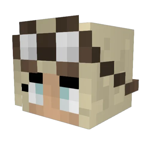 Hex19984 Minecraft avatar head, 3D render