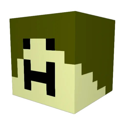 HexDecBin Minecraft avatar head, 3D render