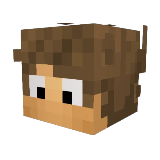 HexGamer_br Minecraft avatar head, 3D render