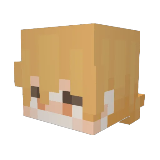 HexManiacFan Minecraft avatar head, 3D render