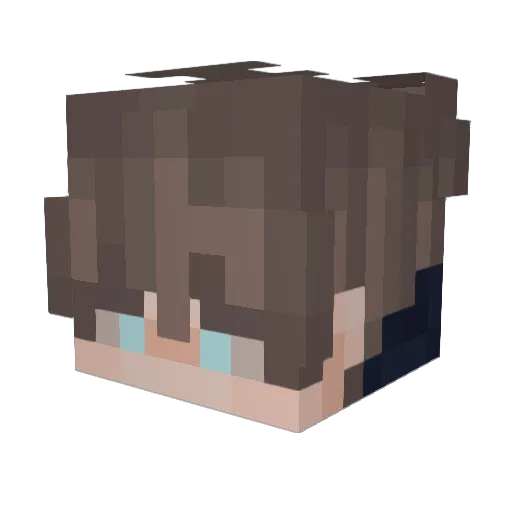 HexMax11 Minecraft avatar head, 3D render
