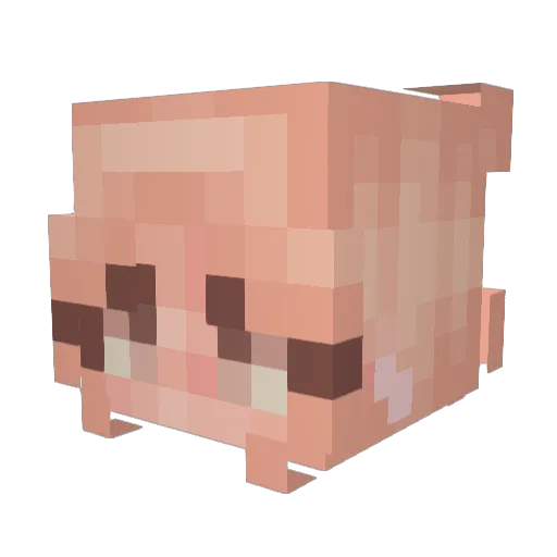 Hex_____ Minecraft avatar head, 3D render