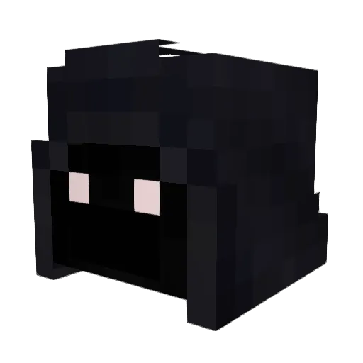 Hex_xter Minecraft avatar head, 3D render