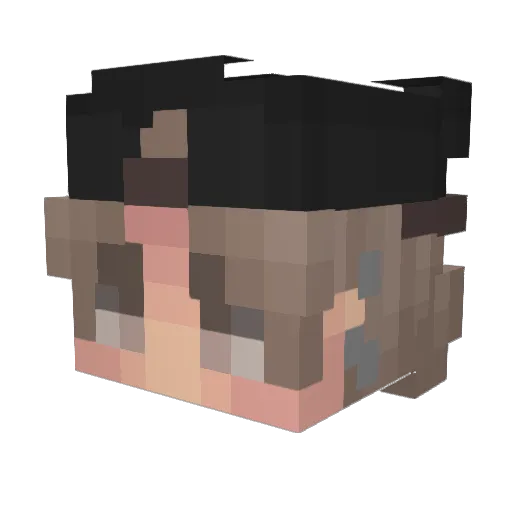 HexaCode12 Minecraft avatar head, 3D render