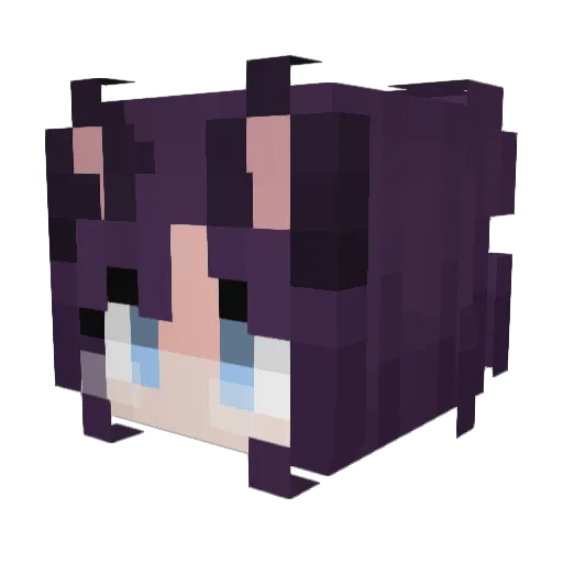 Hexadonic Minecraft avatar head, 3D render