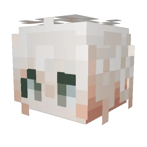 Hexafolia Minecraft avatar head, 3D render